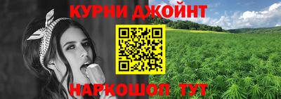 гидра Рязань